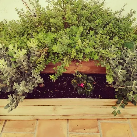 Encantadora Casita En Ferienhaus Palma